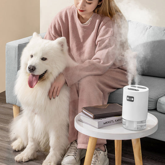 Kawaii Lifting Fan Humidifier