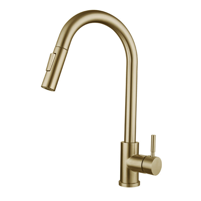 Kitchen Stainless Steel Pull-out Retractable Faucet