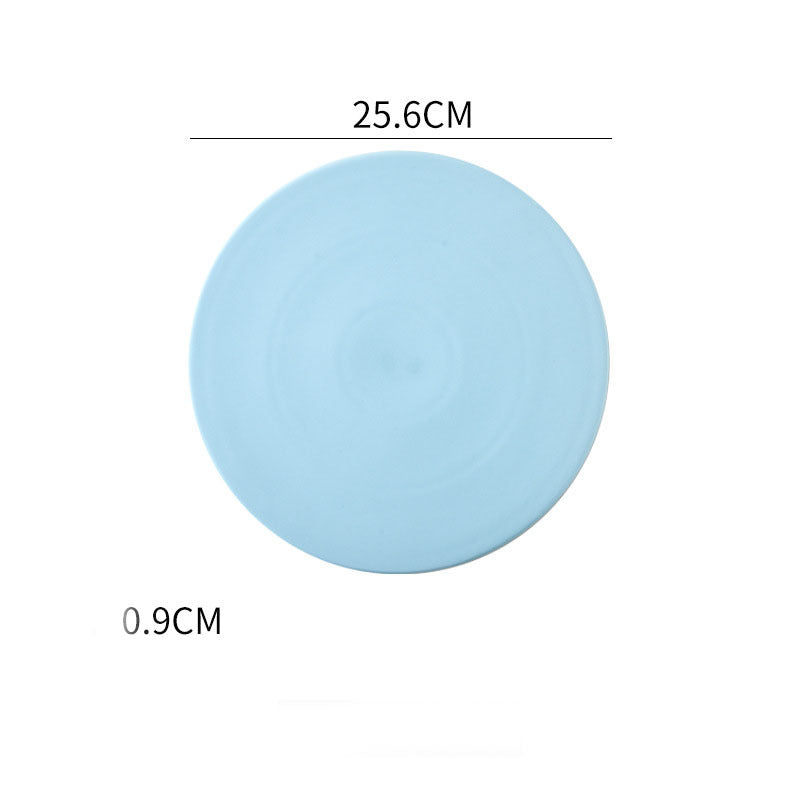 Home Simple Matte Round Sushi Plate