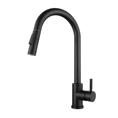 Kitchen Stainless Steel Pull-out Retractable Faucet