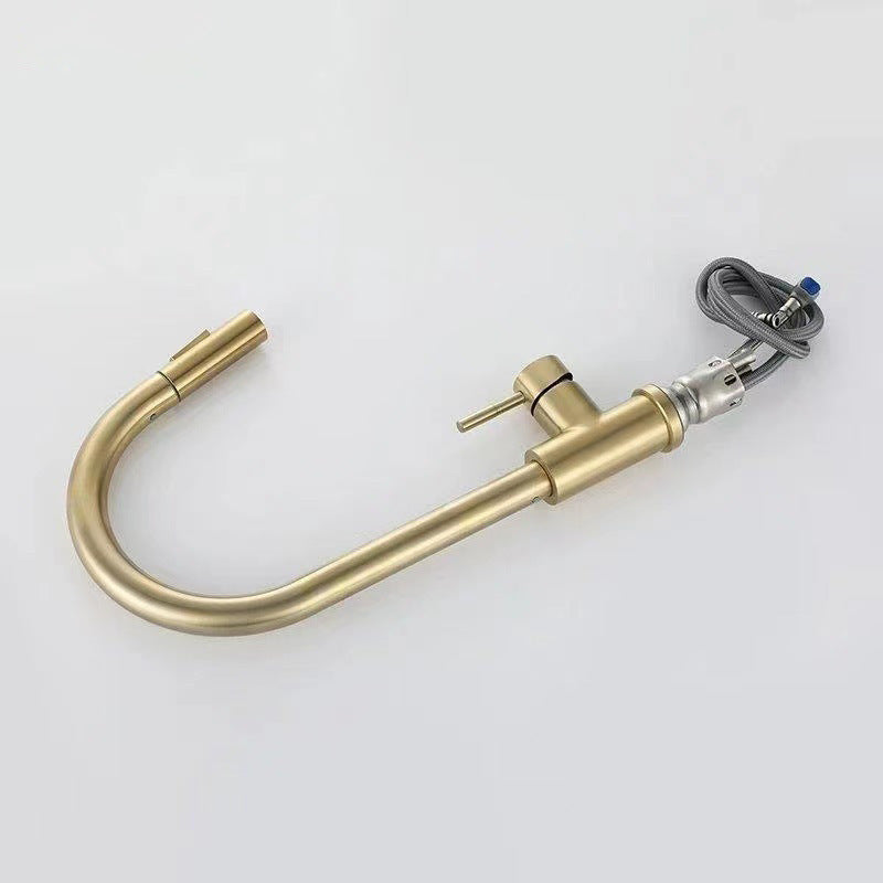 Kitchen Stainless Steel Pull-out Retractable Faucet