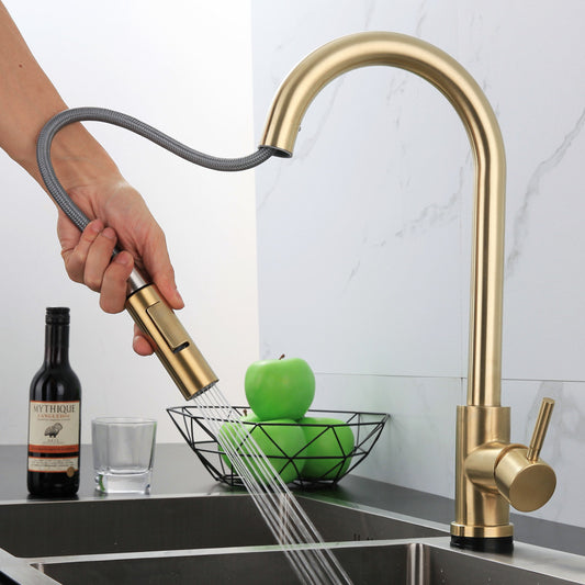 Kitchen Stainless Steel Pull-out Retractable Faucet