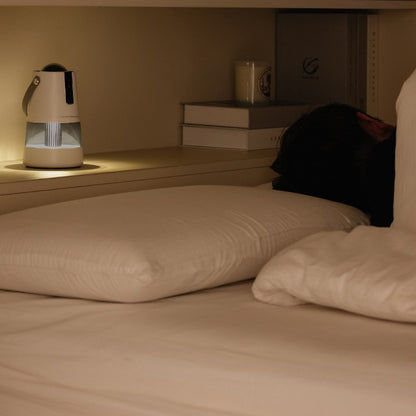 Mosquito repellent night light